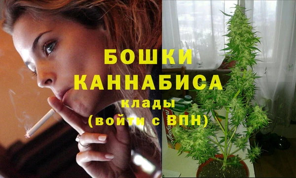 ECSTASY Богородск