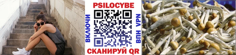 OMG сайт  купить наркотик  Нерюнгри  Псилоцибиновые грибы Psilocybe 